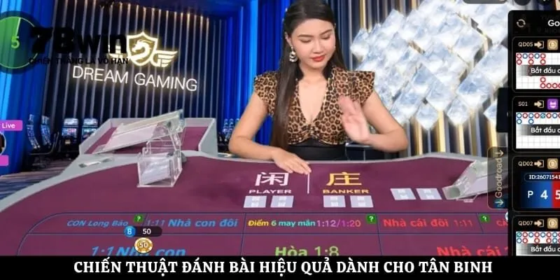 Chiến thuật đánh bài hiệu quả dành cho tân binh