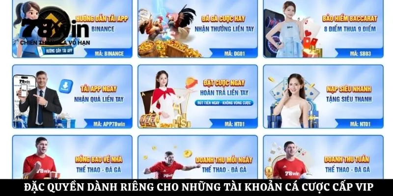Đặc quyền dành riêng cho những tài khoản cá cược cấp VIP