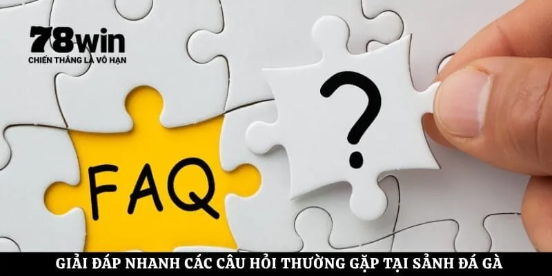 Giải đáp nhanh các câu hỏi thường gặp tại sảnh đá gà