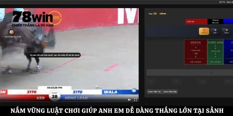Nắm vững luật chơi giúp anh em dễ dàng thắng lớn tại sảnh cược